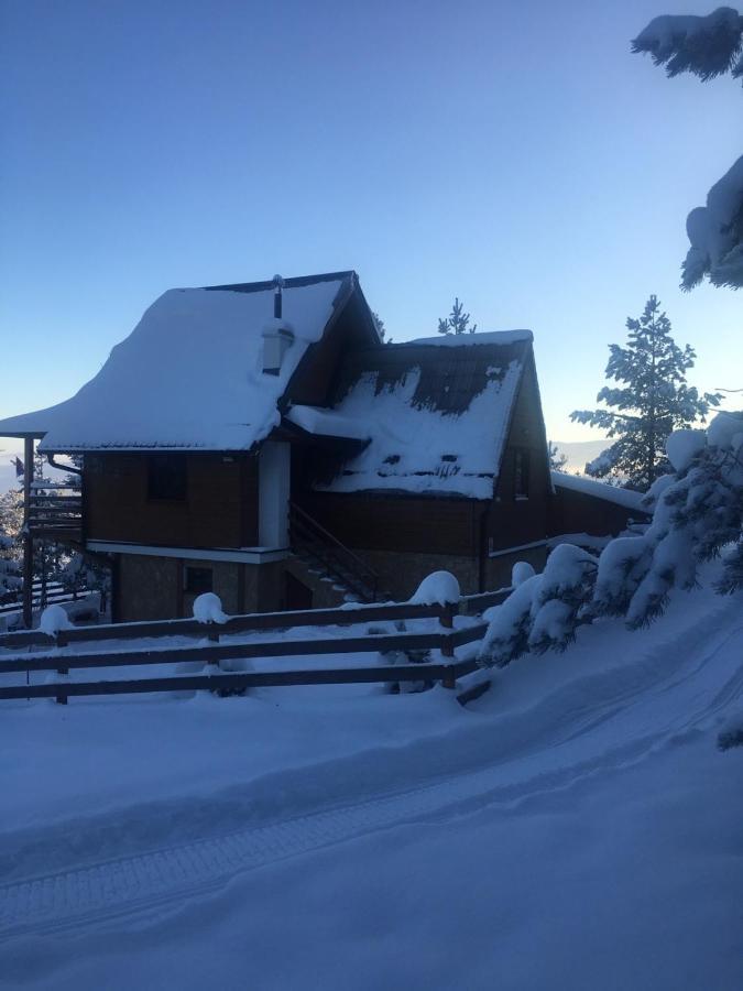 Apartmani Tornik-Planinska Kuca Zdravkovic Dobroselica Exteriér fotografie