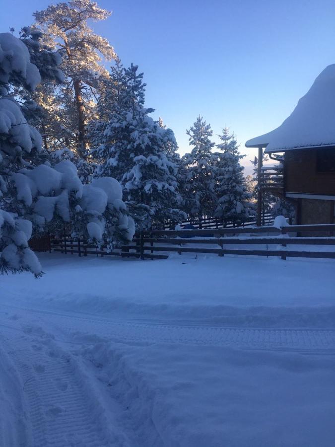 Apartmani Tornik-Planinska Kuca Zdravkovic Dobroselica Exteriér fotografie