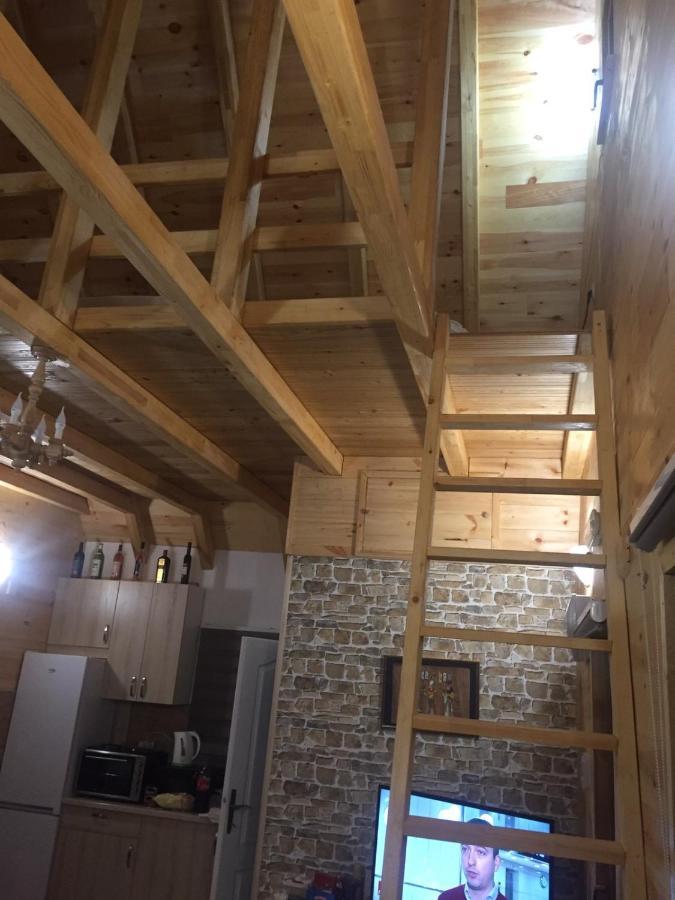 Apartmani Tornik-Planinska Kuca Zdravkovic Dobroselica Exteriér fotografie