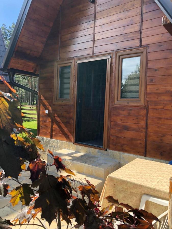 Apartmani Tornik-Planinska Kuca Zdravkovic Dobroselica Exteriér fotografie