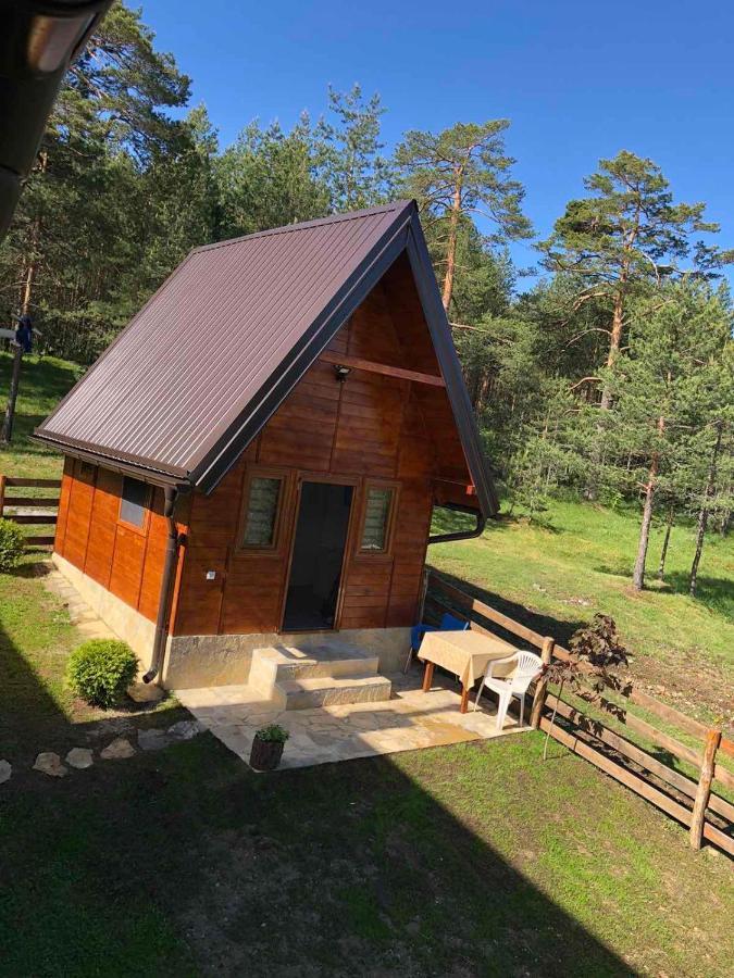 Apartmani Tornik-Planinska Kuca Zdravkovic Dobroselica Exteriér fotografie
