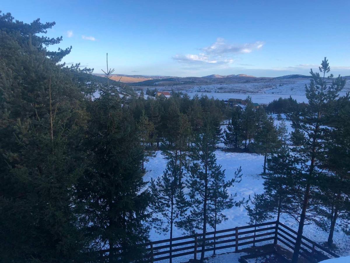 Apartmani Tornik-Planinska Kuca Zdravkovic Dobroselica Exteriér fotografie